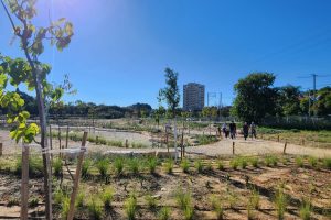 בריכת חורף תמונה באדיבות עיריית חולון