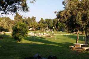 גן לאומי מעיין חרוד