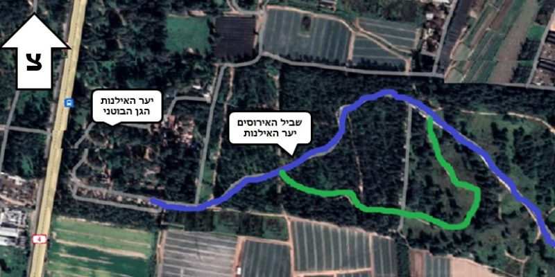 מפת שביל האירוסים יער האילנות