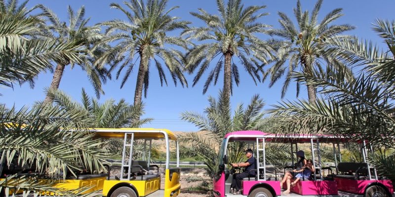 באדיבות כפר הנופש עין גב