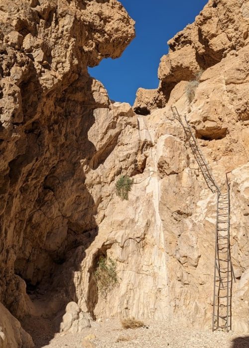 קניון נחל תמר: טיול סולמות ודרגיות